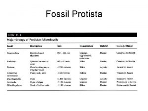 Fossil Protista Kingdom Protista Phylum Sarcomastigophora Subphylum Sarcodina