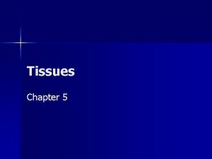 Tissues Chapter 5 Tissues 1 2 Tissues are
