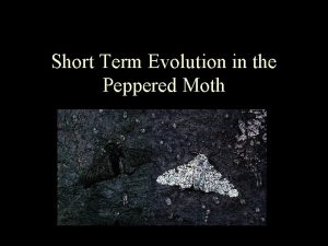 Short Term Evolution in the Peppered Moth The