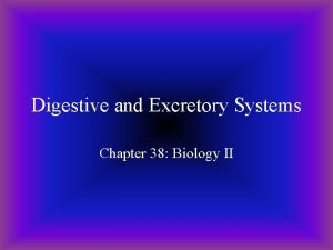 Digestive and Excretory Systems Chapter 38 Biology II