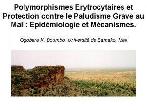 Polymorphismes Erytrocytaires et Protection contre le Paludisme Grave