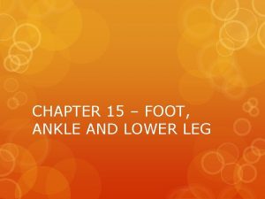 CHAPTER 15 FOOT ANKLE AND LOWER LEG FOOT