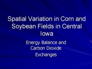 Spatial Variation in Corn and Soybean Fields in