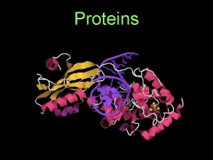 Proteins Proteins are large biological molecules consisting of