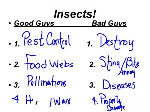 Insects Good Guys 1 Bad Guys 1 2