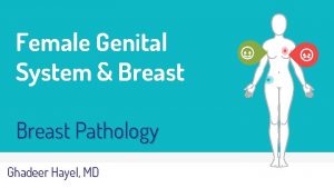 Female Genital System Breast Pathology Ghadeer Hayel MD