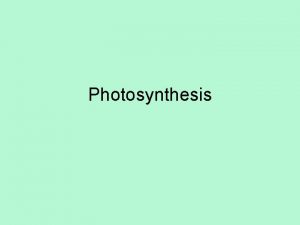 Photosynthesis Light Reactions Trapping Energy Takes place in
