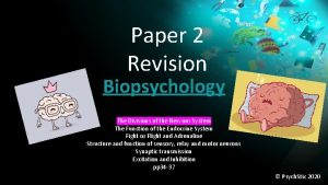 Paper 2 Revision Biopsychology The Divisions of the