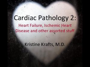 Cardiac Pathology 2 Heart Failure Ischemic Heart Disease