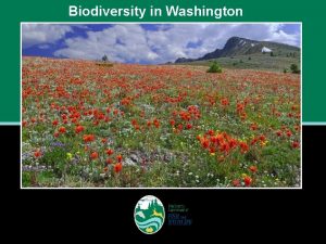 Biodiversity in Washington What is biodiversity Biodiversity Biological