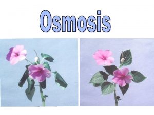 Osmosis is a special case of diffusion Osmosis