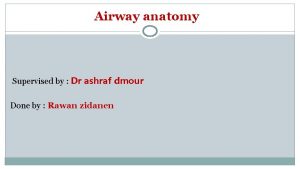 Airway anatomy Supervised by Dr ashraf dmour Done