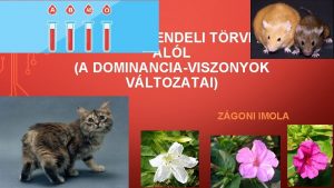 KIVTELEK A MENDELI TRVNYEK ALL A DOMINANCIAVISZONYOK VLTOZATAI