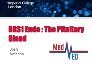 BRS 1 Endo The Pituitary Gland Josh Kotecha