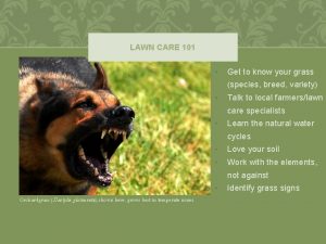 LAWN CARE 101 Get to know your grass