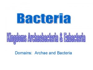 Domains Archae and Bacteria What are Bacteria Bacteria