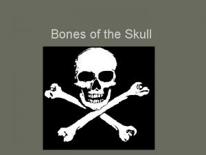 Bones of the Skull Skull Cranium and Facial