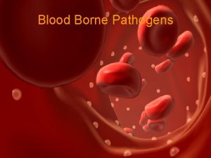 Blood Borne Pathogens Introduction Occupational exposure to Blood