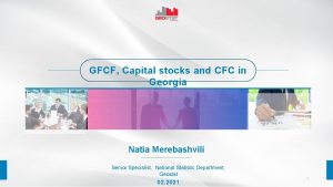 GFCF Capital stocks and CFC in Georgia Natia