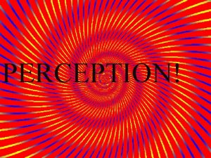 PERCEPTION Perception The process of integrating organizing and