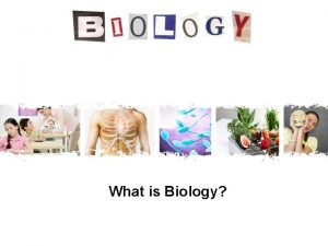 What is Biology Key Concepts and Vocabulary Key