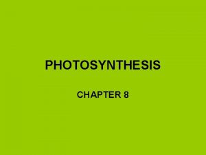 PHOTOSYNTHESIS CHAPTER 8 AUTOTROPHS MAKE THEIR OWN FOOD