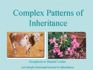 Complex Patterns of Inheritance Exceptions to Mendels rules