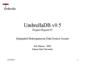 Umbrella DB v 0 5 Project Report 3