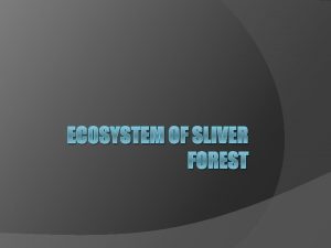 ECOSYSTEM OF SLIVER FOREST History of Sliver Forest