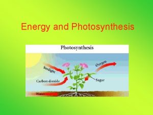 Energy and Photosynthesis Cell Energy All living organisms