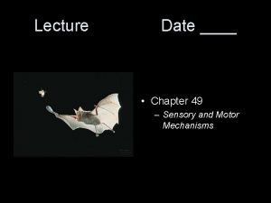 Lecture Date Chapter 49 Sensory and Motor Mechanisms