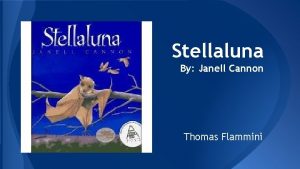 Stellaluna By Janell Cannon Thomas Flammini Brief Overview