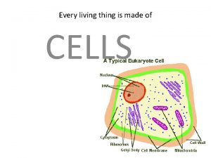 Every living thing is made of CELLS When