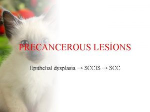 PRECANCEROUS LESONS Epithelial dysplasia SCCIS SCC UVR HPV