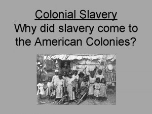 Colonial Slavery Why did slavery come to the