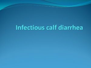 Infectious calf diarrhea Definition Definition Calf scours is