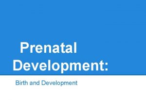 Prenatal Development Birth and Development Introduction Our Presentation