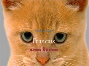 Bienvenue Francais avec Renee greetings en francais Commentditon