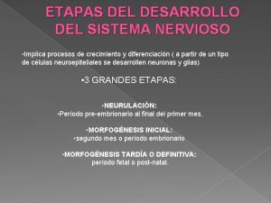 ETAPAS DEL DESARROLLO DEL SISTEMA NERVIOSO Implica procesos