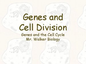 Genes and Cell Division Genes and the Cell