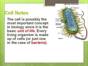 Cell Notes The cell is possibly the most