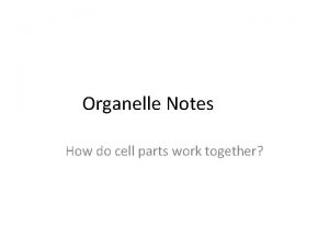 Organelle Notes How do cell parts work together