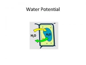Water Potential Water potential Potential energy of water