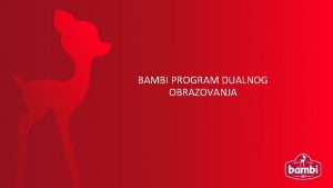 BAMBI PROGRAM DUALNOG OBRAZOVANJA O PROJEKTU Kompanija Bambi