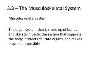 3 8 The Musculoskeletal System Musculoskeletal system The