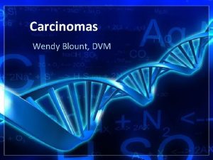 Carcinomas Wendy Blount DVM Carcinomas Squamous cell carcinoma