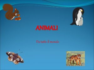 ANIMALI Da tutto il mondo SCOIATTOLO Lo scoiattolo