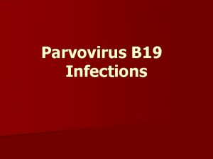 Parvovirus B 19 Infections Pathogenesis n Autonomous parvoviruses