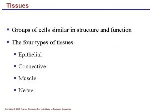 Tissues Groups of cells similar in structure and