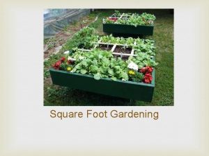 Square Foot Gardening Square Foot Gardening It is